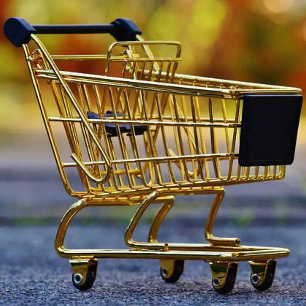 Freelance Digital Marketing, Google ads expert, Specialist in kochi, Ernakulam, Kerala, India